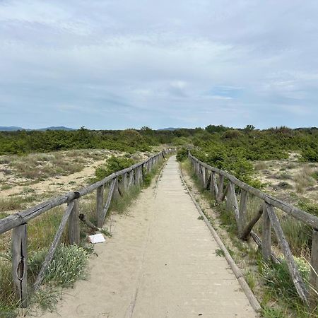 Il Mio Piccolo Angolo Di Mare Viareggio Dış mekan fotoğraf