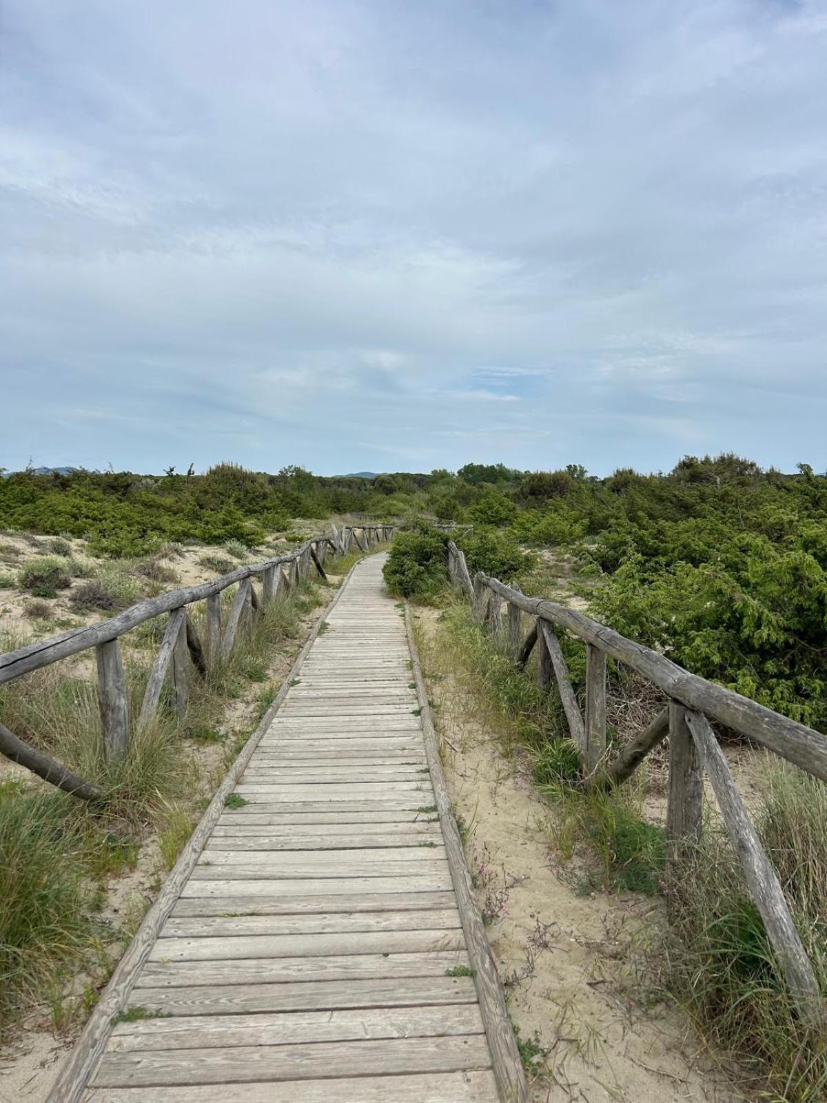 Il Mio Piccolo Angolo Di Mare Viareggio Dış mekan fotoğraf