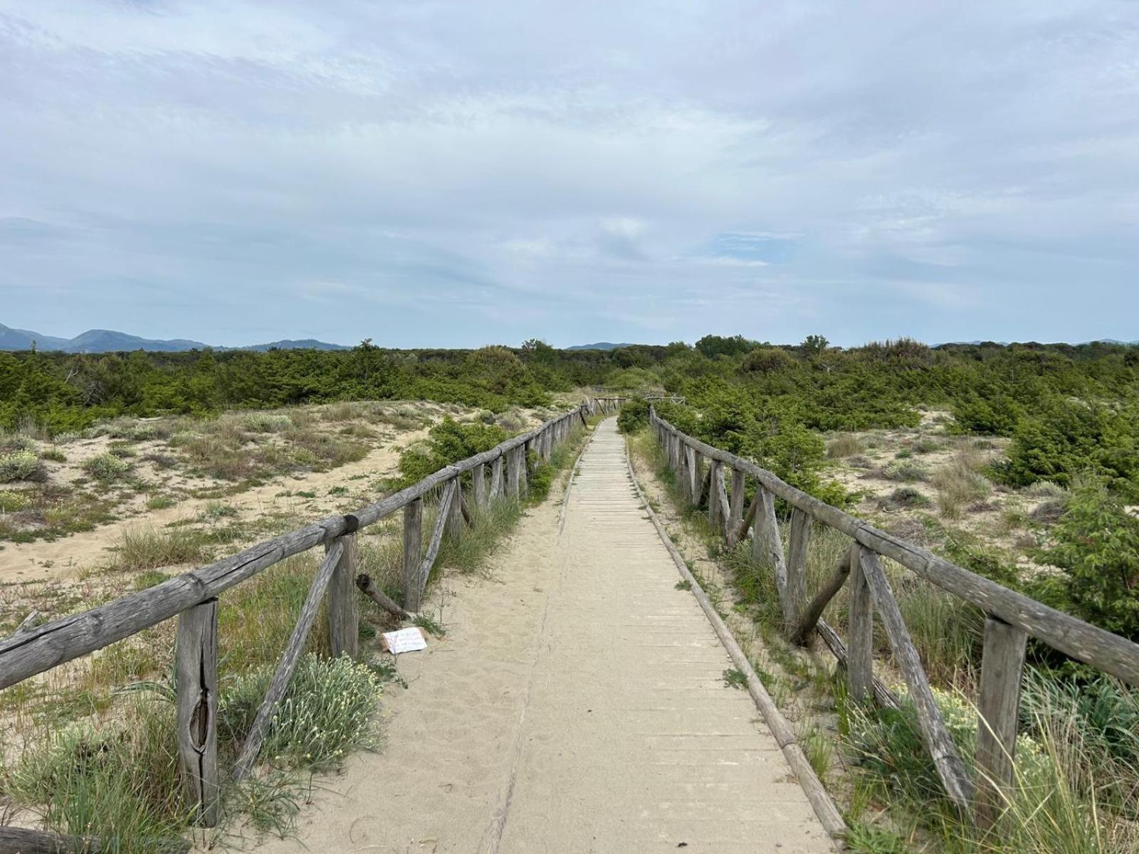 Il Mio Piccolo Angolo Di Mare Viareggio Dış mekan fotoğraf